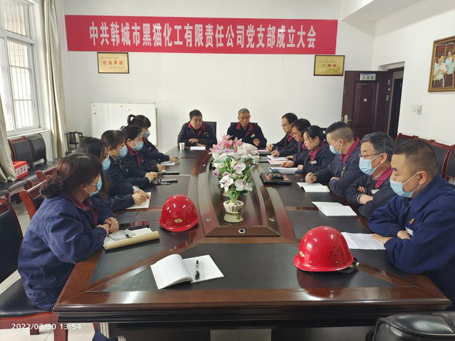 鍛鑄黨建品牌，打造標(biāo)桿企業(yè)