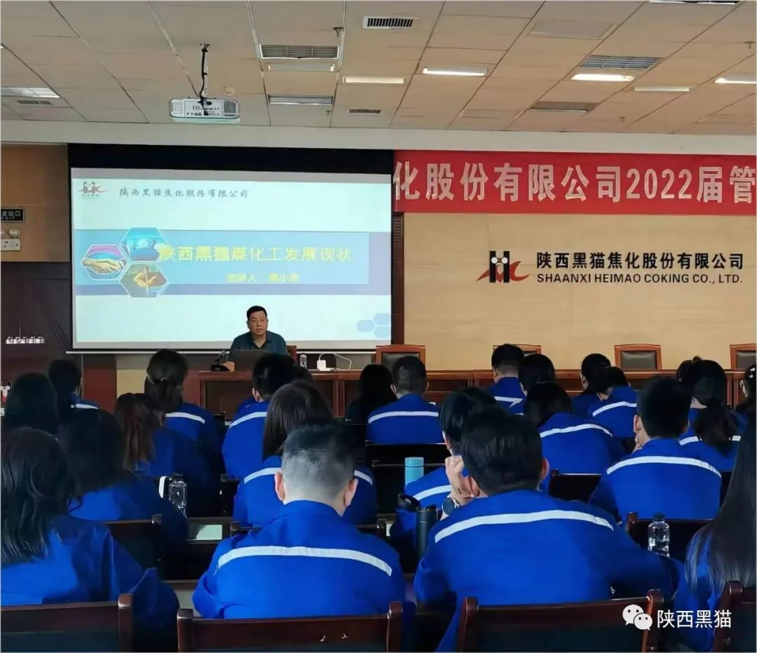 放飛夢想，揚帆起航